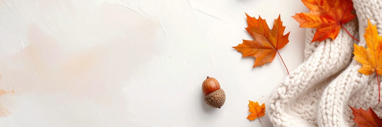 acorn and colored leaves